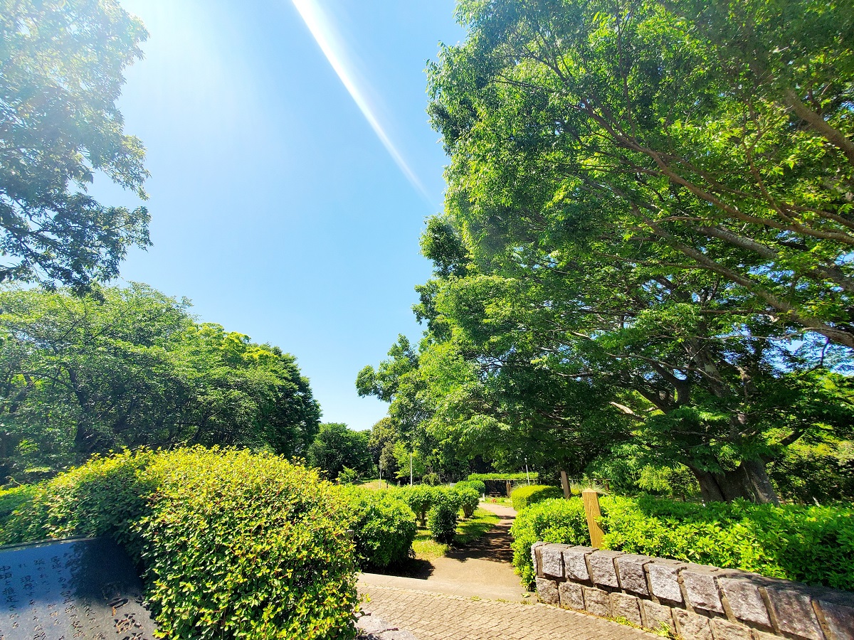 印旛沼公園