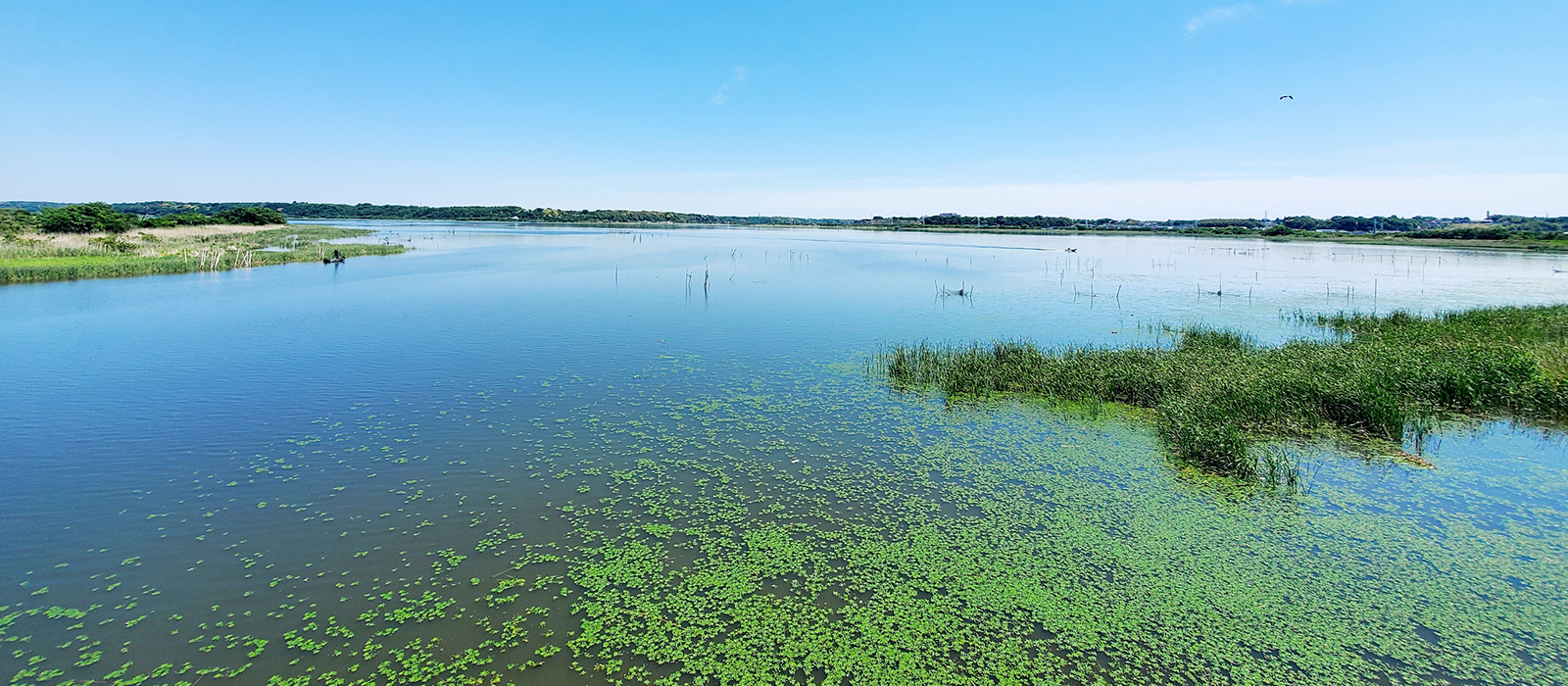 佐倉・志津周辺の風景